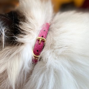 Collier pour chat lynx lynx by maurice en cuir grainé - taille 1 - rose