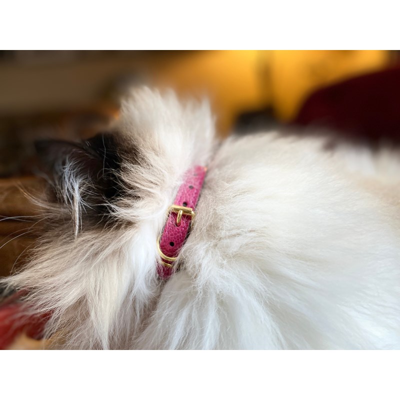 Collier pour chat lynx lynx by maurice en cuir grainé - taille 2 - rose