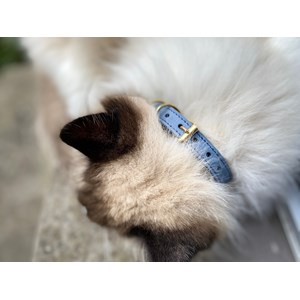 Collier pour chat panthera onca by maurice en nubuck - taille 2 - bleu
