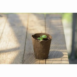 Pots biodégradables en fibres de bois pour semis