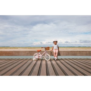 Vélo 12 pouces rose – enfant 2-4 ans Rose