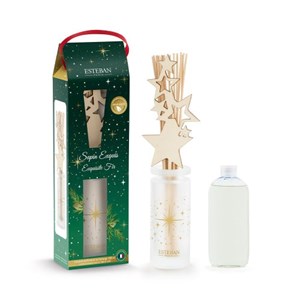 Bouquet noël sapin exquis