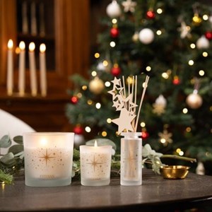 Recharge pour bouquet 250ml sapin exquis