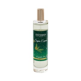 Vaporisateur sapin exquis