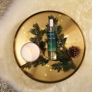 Vaporisateur sapin exquis