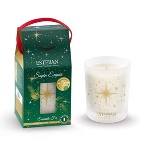 Bougie noël 180g sapin exquis