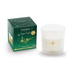 Bougie noël 450g sapin exquis