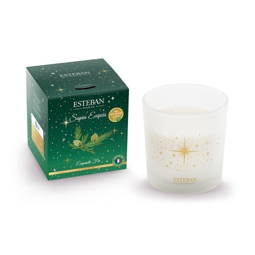 Esteban - Bougie noël 450g sapin exquis