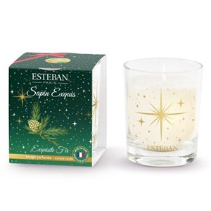 Mini bougie 70g sapin exquis