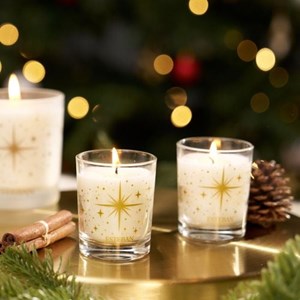 Mini bougie 70g sapin exquis