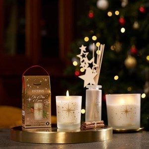 Recharge pour bouquet 250ml thé et pain d'épices