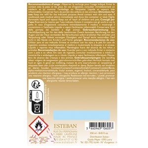 Recharge pour bouquet 250ml thé et pain d'épices