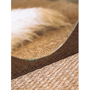 Igor, le miroir ovale  n°794