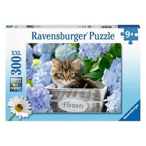 Ravensburger ravensburger bleu