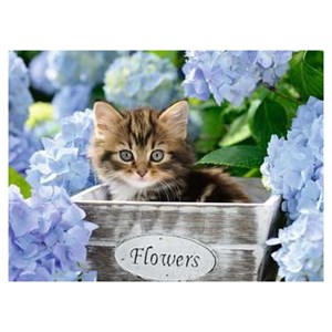 Ravensburger ravensburger bleu