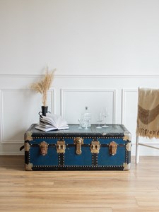 Lucienne, la grade malle bleue n°196