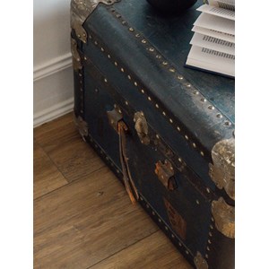 Lucienne, la grade malle bleue n°196