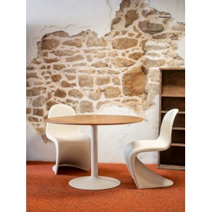 Paire de chaises en fibre de verre n°808