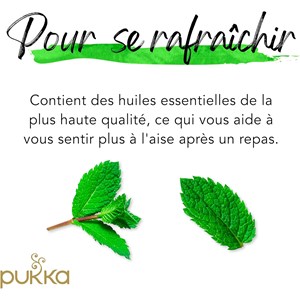 Pukka, infusion biologique, goût trois menthes