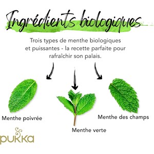 Pukka, infusion biologique, goût trois menthes