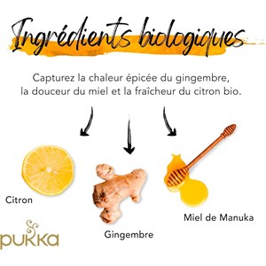 Pukka, infusion biologique, goût citron gingembre et miel de manuka