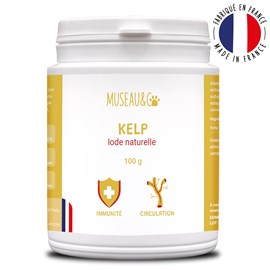 Kelp - immunité - système immunitaire - iode naturel - chien et chat - 100g