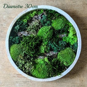 Tableau végétal naturel rond en mousse stabilisée - lot de 2- forest