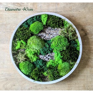 Tableau végétal naturel rond en mousse stabilisée - lot de 2- forest
