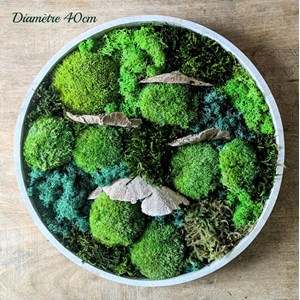 Tableau végétal naturel rond mousse stabilisée - lot de 2- sous-bois