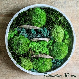 Tableau végétal naturel rond mousse stabilisée - lot de 2- sous-bois