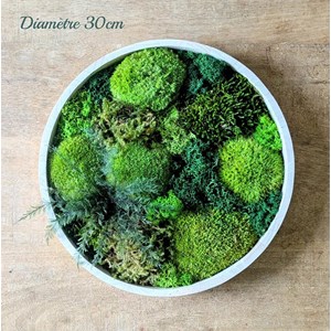 Tableau végétal naturel rond en mousse stabilisée - lot de 2- canopé