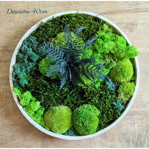 Tableau végétal naturel rond en mousse stabilisée - lot de 2- canopé
