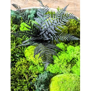 Tableau végétal naturel rond en mousse stabilisée - lot de 2- canopé