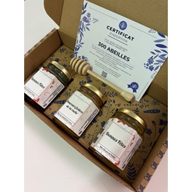 Coffret fetes 3 pots de miel