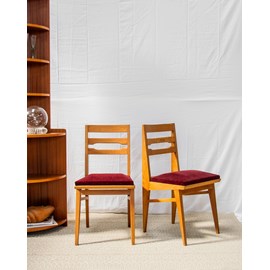 Paire de chaises en velours n°848