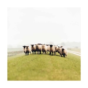 Bonnet ivanhoe en laine freya light