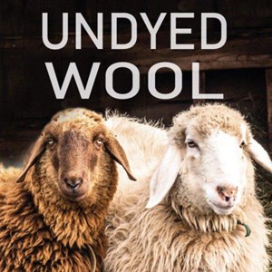 Bonnet tricoté côtelé ivanhoe en laine