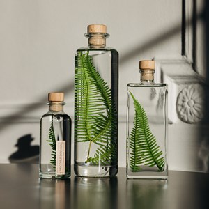 Plante immergée fougère montagnes h23