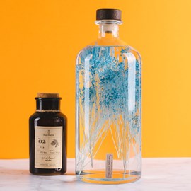 Broom turquoise immergé - la jarre 3l