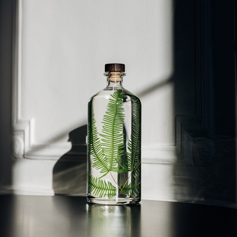 Fougère montagnes immergée - la jarre 3l