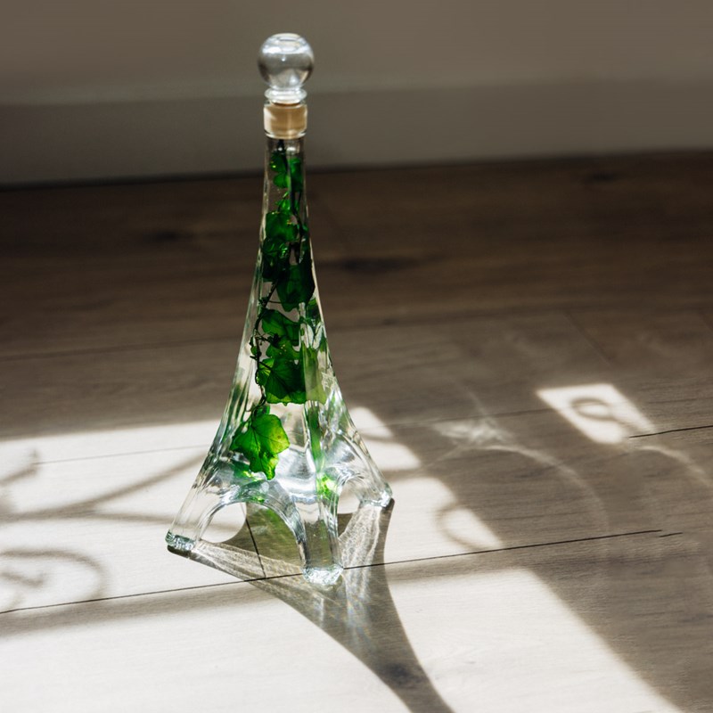 Lierre helix immergé - la tour eiffel