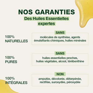 Pranarom - sirop - voies respiratoires - bio