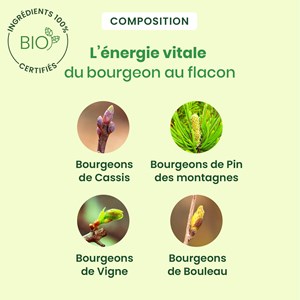 Herbalgem - artigem - complexe articulations - bio