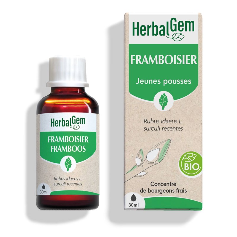 Herbalgem - bourgeon de framboisier - bio