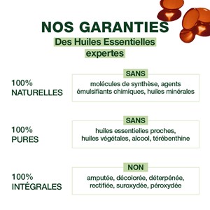 Pranarom - capsules bronches aux huiles essentielles - bio