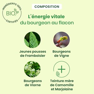 Herbalgem - feminagem - cycle menstruel - bio