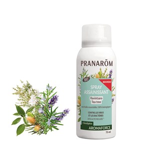Pranarom - spray assainissant ravintsara - tea tree - bio - 75 ml