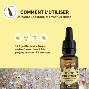 Biofloral - fleur de bach n°35 white chestnut, marronnier blanc - bio demeter
