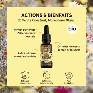 Biofloral - fleur de bach n°35 white chestnut, marronnier blanc - bio demeter