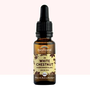 Biofloral - fleur de bach n°35 white chestnut, marronnier blanc - bio demeter